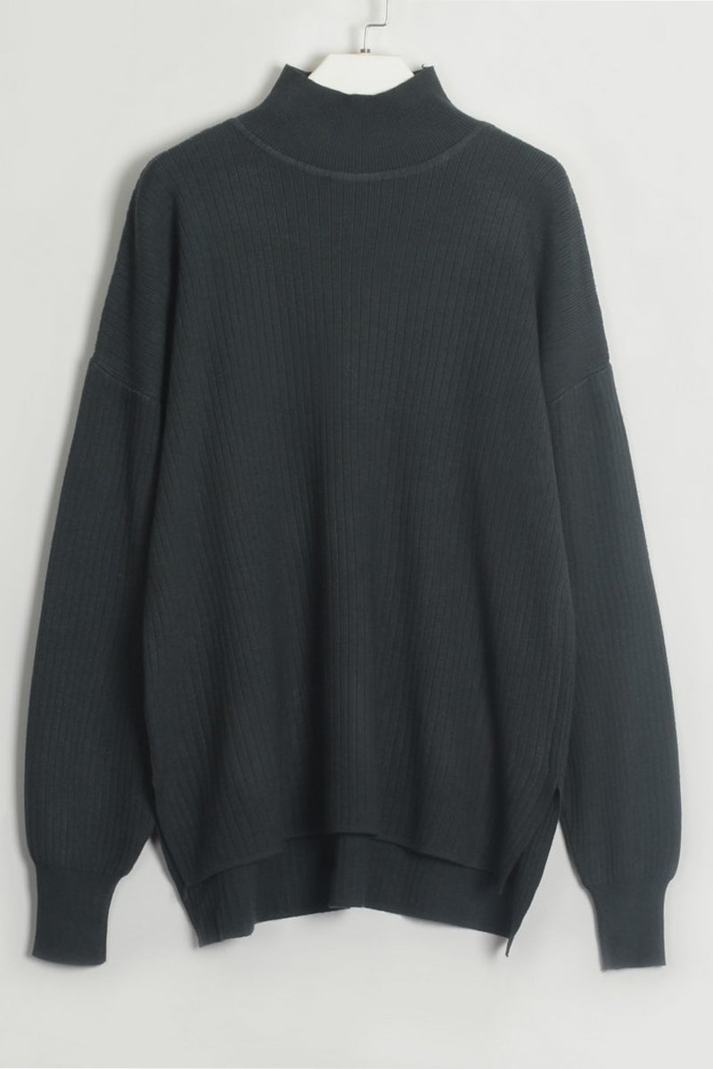 Casual Simplicity Solid Turtleneck Long Sleeve Two Pieces(5 Colors)